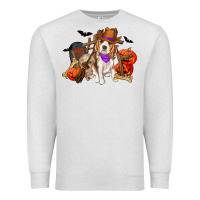 Oatmeal Heather Halloween beagle dog Premium Sweatshirt - RanaPortraitStore