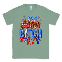 Sage boom bitch get out the way Classic Tee - NancyCooperArtShop
