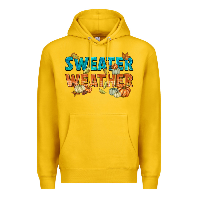 Weather Premium Hoodie by texasbilliewilder | Teevron