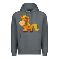 Rock cute horse Premium Hoodie - texasbilliewilder