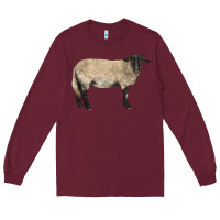 Burgundy Suffolk Sheep Long Sleeve Tee - LillyAllenDesigns