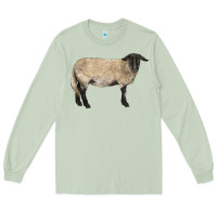 Matcha Suffolk Sheep Long Sleeve Tee - LillyAllenDesigns