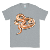 Heather Grey Rosy Boa Snake Illustrations Classic Tee - LillyAllenDesigns