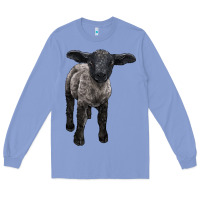 Colony Blue suffolk baby sheep Long Sleeve Tee - LillyAllenDesigns