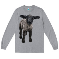 Heather Grey suffolk baby sheep Long Sleeve Tee - LillyAllenDesigns