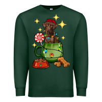 Sports Green Christmas coffee cup with Labrador Premium Sweatshirt - RanaPortraitStore
