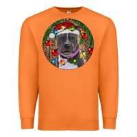 Carrot Christmas Pitbull Premium Sweatshirt - RanaPortraitStore