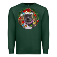 Sports Green Christmas Pitbull Premium Sweatshirt - RanaPortraitStore