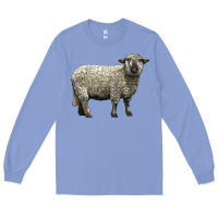 Colony Blue hampshire sheep Long Sleeve Tee - LillyAllenDesigns