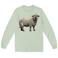 Matcha hampshire sheep Long Sleeve Tee - LillyAllenDesigns
