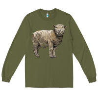 Army Green southdown sheep Long Sleeve Tee - LillyAllenDesigns