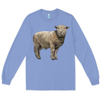 Colony Blue southdown sheep Long Sleeve Tee - LillyAllenDesigns