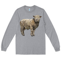Heather Grey southdown sheep Long Sleeve Tee - LillyAllenDesigns