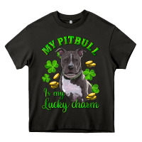 St Patricks Day My Pitbuli My Lucky Charm Heavy Core Tee | Teevron
