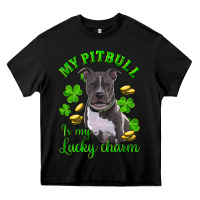 Black st patricks day my pitbuli my lucky charm Heavy Core Tee - RanaPortraitStore