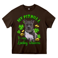Chocolate Brown st patricks day my pitbuli my lucky charm Heavy Core Tee - RanaPortraitStore