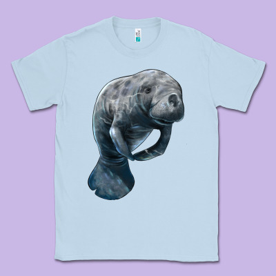 Manatee Illustrations Classic Tee Designed By Lillyallendesigns