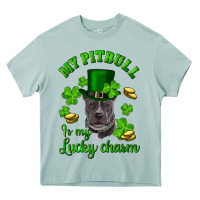 Arona st patricks day my pitbuli my lucky charm with hat Heavy Core Tee - RanaPortraitStore