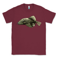 Burgundy Bristlenose Placo Classic Tee - LillyAllenDesigns