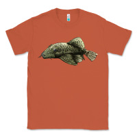 Copper Bristlenose Placo Classic Tee - LillyAllenDesigns