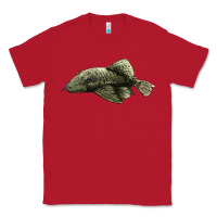 Red Bristlenose Placo Classic Tee - LillyAllenDesigns