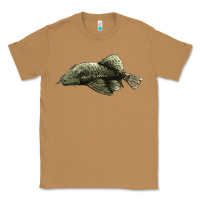 Toasted Coconut Bristlenose Placo Classic Tee - LillyAllenDesigns