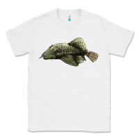 White Bristlenose Placo Classic Tee - LillyAllenDesigns