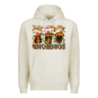 Oatmeal Heather fiesta with my gnomigos Premium Hoodie - texasbilliewilder