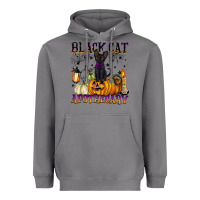 Storm black cat apothecary Heavyweight Hoodie - BarkalooDesign