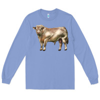 Colony Blue charolais bull Long Sleeve Tee - LillyAllenDesigns
