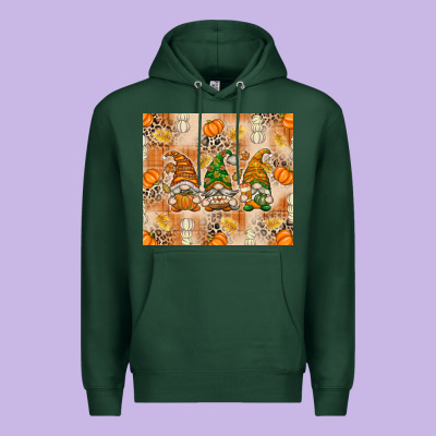 Fall With Gnomes Premium Hoodie Designed By Texasbilliewilder