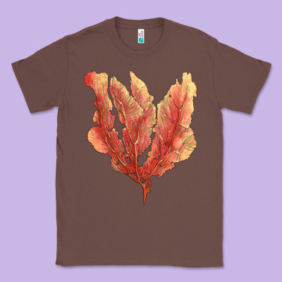 Pink Venus Fan Sea Coral Classic Tee Designed By Lillyallendesigns
