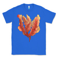 True Royal pink venus fan sea coral Classic Tee - LillyAllenDesigns
