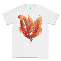 White pink venus fan sea coral Classic Tee - LillyAllenDesigns