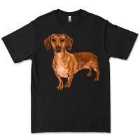 Black dachshund Premium Tee - RanaPortraitStore