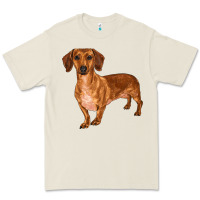 Bone dachshund Premium Tee - RanaPortraitStore
