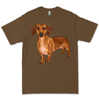 Cacao dachshund Premium Tee - RanaPortraitStore