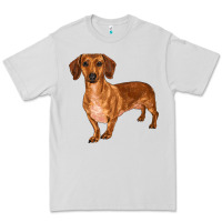 Dove Grey dachshund Premium Tee - RanaPortraitStore