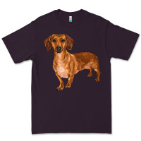 Plum dachshund Premium Tee - RanaPortraitStore