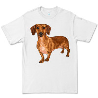 White dachshund Premium Tee - RanaPortraitStore