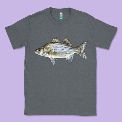 White Bass Fish Illustrations Classic Tee Designed By Lillyallendesigns