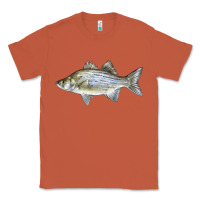Copper White Bass Fish Illustrations Classic Tee - LillyAllenDesigns