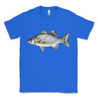 True Royal White Bass Fish Illustrations Classic Tee - LillyAllenDesigns