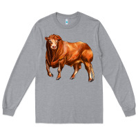 Heather Grey red angus bull Long Sleeve Tee - LillyAllenDesigns
