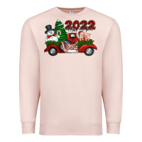 Pale Pink happy new year 2022 christmas truck with american flag Premium Sweatshirt - Jasminsmagicworld