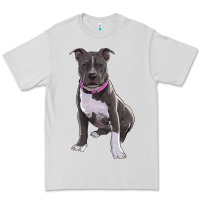 Pitbull Premium Tee | Teevron