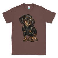 Chestnut dachshund Classic Tee - BarkalooDesign