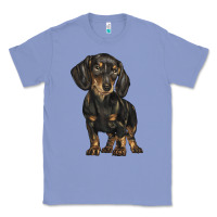 Colony Blue dachshund Classic Tee - BarkalooDesign