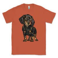 Copper dachshund Classic Tee - BarkalooDesign