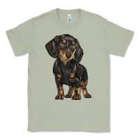 Matcha dachshund Classic Tee - BarkalooDesign